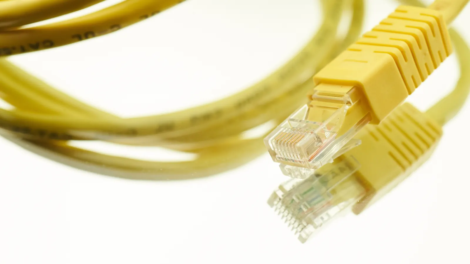 Yellow network cable on a white background