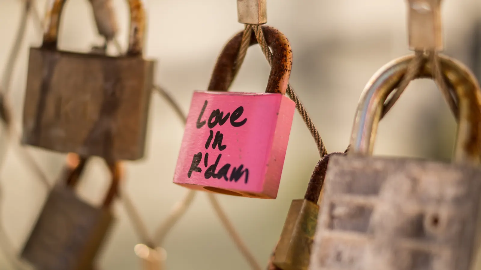 Padlocks hanging on a wire fence